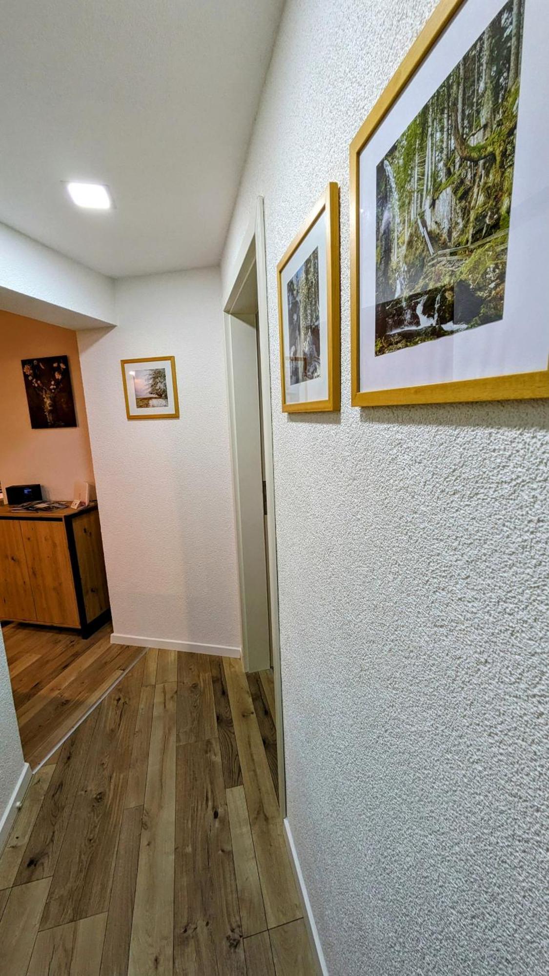 Ferienwohnung Albbruck/Albert Екстериор снимка